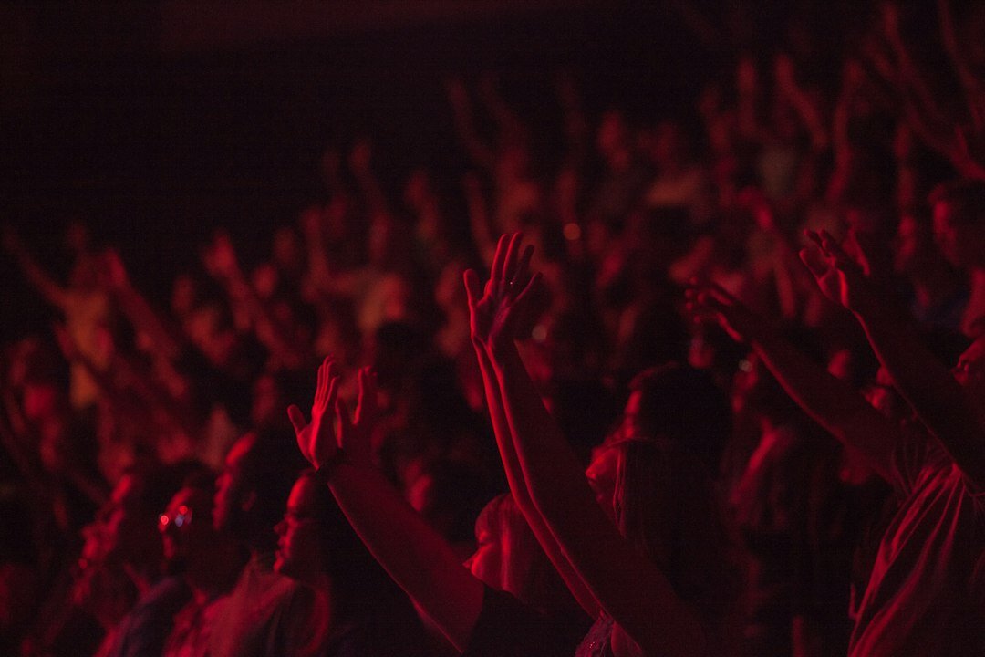 fans at concert cheering